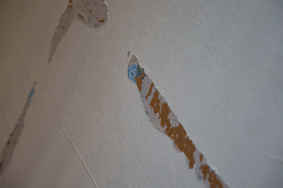 Flood Cleanup service in Cleveland, OH